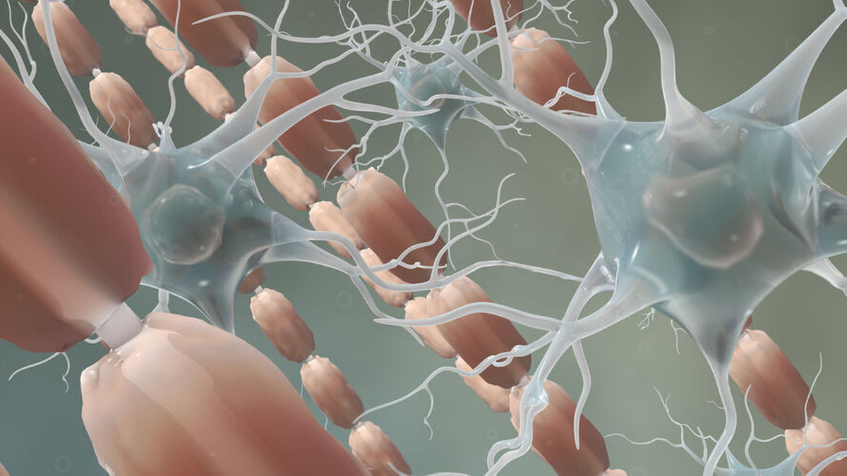 Multiple Sklerose und Colitis ulcerosa: Frühe Therapie entscheidend