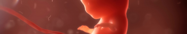 37. Jahrestreffen der European Society of Human Reproduktion and Embryology (ESHRE)