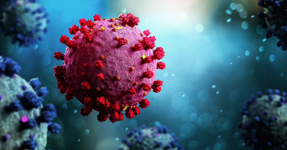 SARS-CoV-2-Pandemie: Virus, Impfstoffe, Medikamente