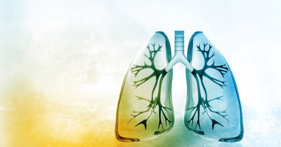 Chronisch obstruktive Lungenerkrankung (COPD)