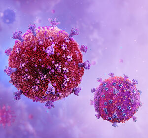 Humanes Immundefizienz-Virus (HIV)