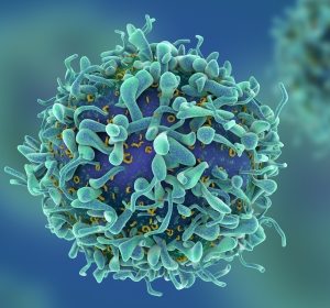 Multiple Sklerose: Immuntherapeutische Strategie mit Alemtuzumab kann Reorganisation des Immunsystems bewirken