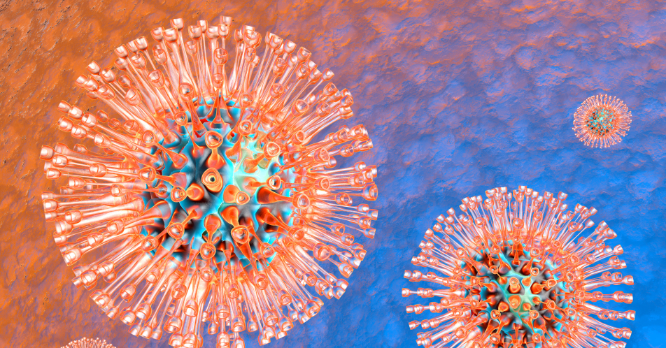 Herpes: Körpereigenes Protein soll Virus bekämpfen
