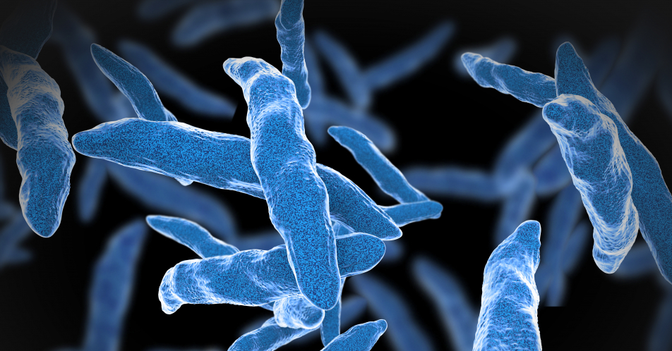 Antibiotika-Resistenz: Multiresistente Tuberkulose-Bakterien