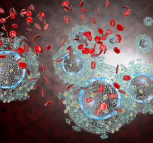 Studie: HIV-Prävention durch Immunprophylaxe mit Hilfe Adeno-assoziierter Viren