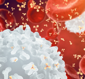 Hepatitis B: Ergebnisvorstellung der Phase-I-Studie zu proprietärem Immunmodulator