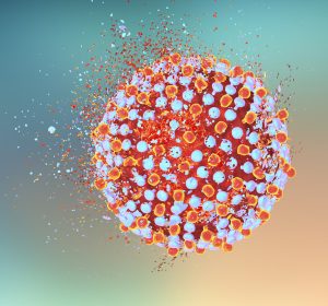 Hepatitis-C: Therapie mit Glecaprevir/Pibrentasvir erhöht Lebensqualität