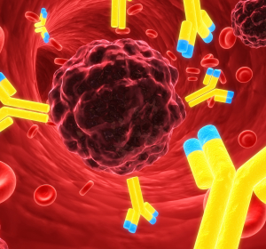 Immunzellfunktion: Protein Tox löst reduzierte Immunantwort aus
