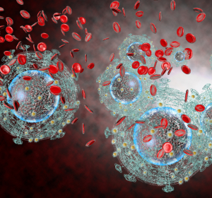HIV: Ausbreitung der Viren in gewebeähnlichen Umgebungen untersucht