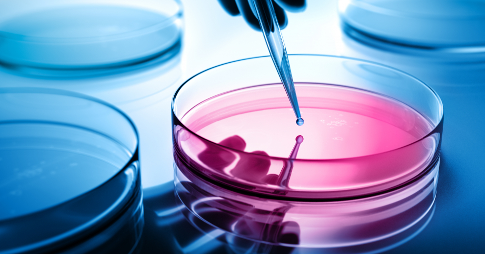 Mesenchymale Stammzellen: Potential bei schlecht heilenden Wunden 