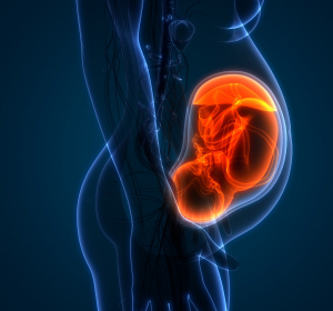 Multiple Sklerose: CHMP und EMA empfehlen Streichung der Kontraindikation Schwangerschaft für Interferon beta-Präparate
