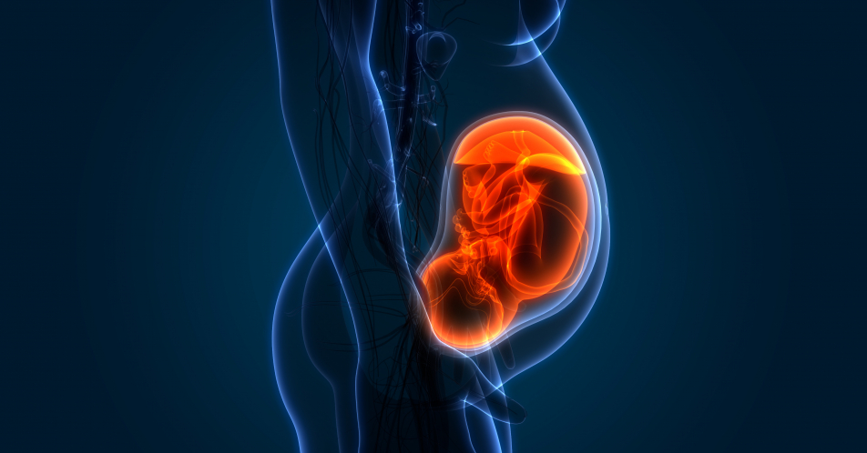 Multiple Sklerose: CHMP und EMA empfehlen Streichung der Kontraindikation Schwangerschaft für Interferon beta-Präparate