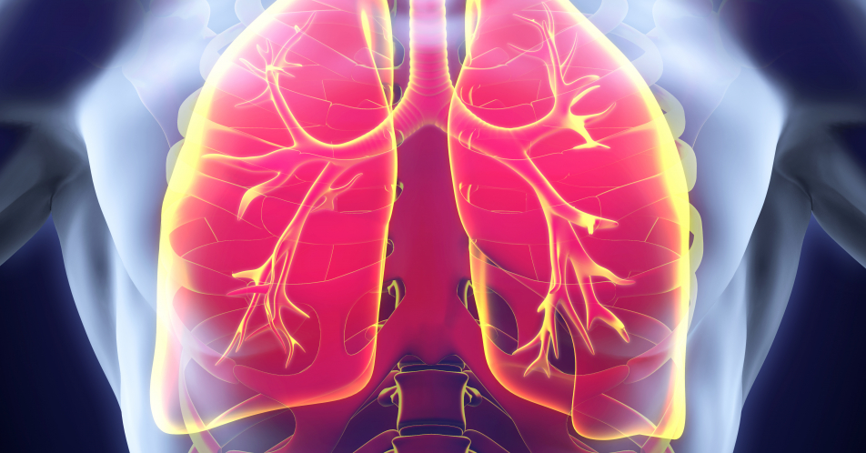 Asthma mit Typ-2-Inflammation: Dupilumab als Add-on-Erhaltungstherapie auch bei Jugendlichen zugelassen