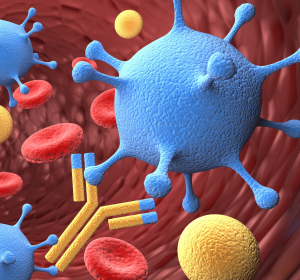 HIV: Experimentelle Therapie senkt Viruslast