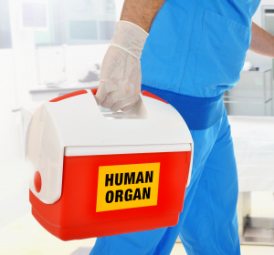 Organspende: Nieren von Hepatitiskranken sicher transplantierbar 