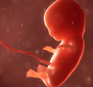Fluorid: Einfluss auf Schwangerschaft, Leber und Nieren?