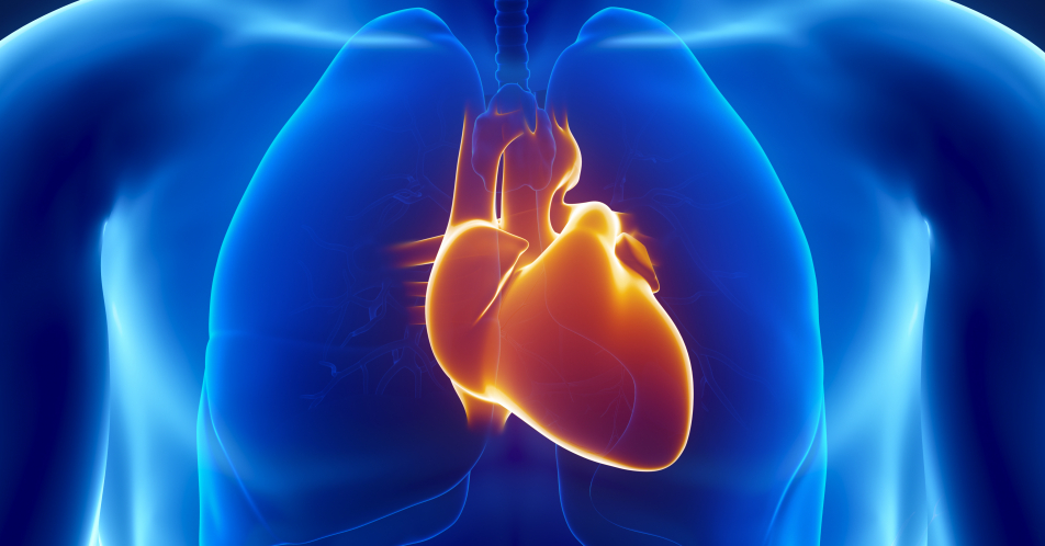 Herzinsuffizienz: Positive Studienergebnisse für Dapagliflozin auch bei Diabetes-Patienten