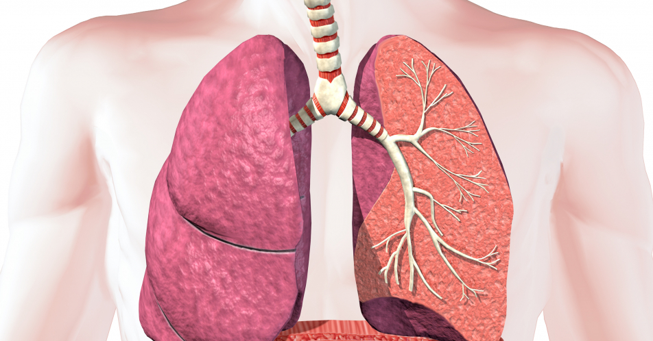 COPD: Beginn viel früher als gedacht