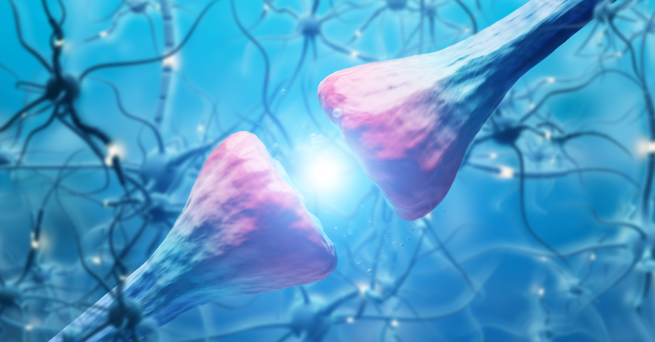 Neue Therapieoptionen bei der Behandlung neurodegenerativer Erkrankungen