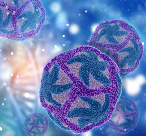 Künstlicher Wirkstoff CR-31-B hemmt Corona-, Lassa- und Zikaviren in vitro ähnlich gut wie Silvestrol 