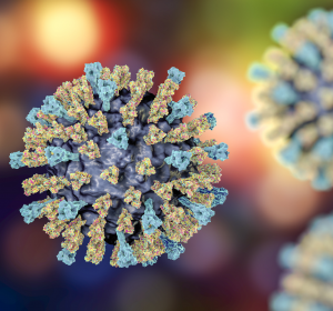 Coronavirus: Kooperation zur Entwicklung eines Impfstoffes