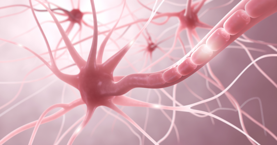 MS: Gehirngängiger BTK-Inhibitor erreicht primären Endpunkt in Phase-II-Studie