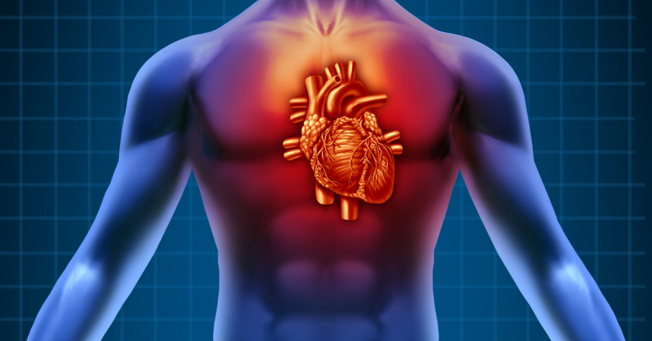 Herzinsuffizienz und Eisenmangel: Hospitalisierung und Mortalität