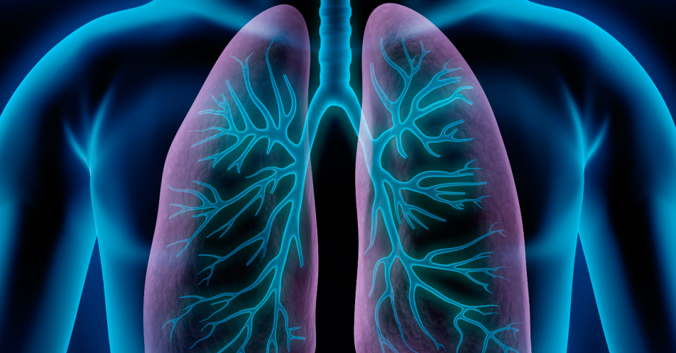COPD: Häusliche Beatmung für mehr Lebensqualität