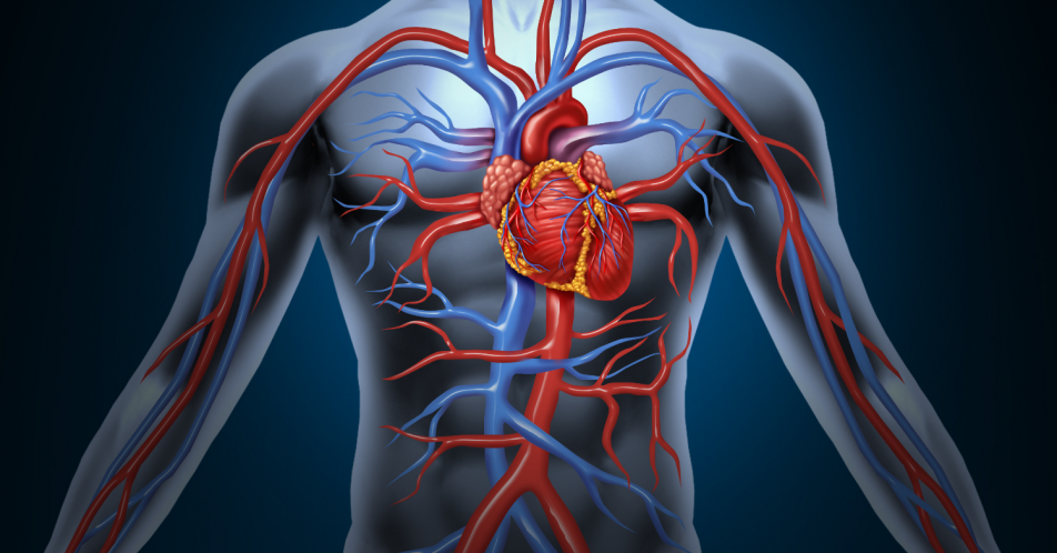 Fachübergreifende Empfehlung zu bildgebenden Verfahren bei ischämischen Herzerkrankungen