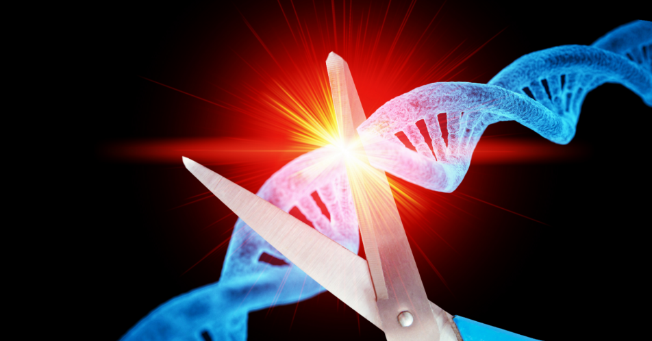 Genom-Editierung: Neue Cas9-Variante für höhere Präzision