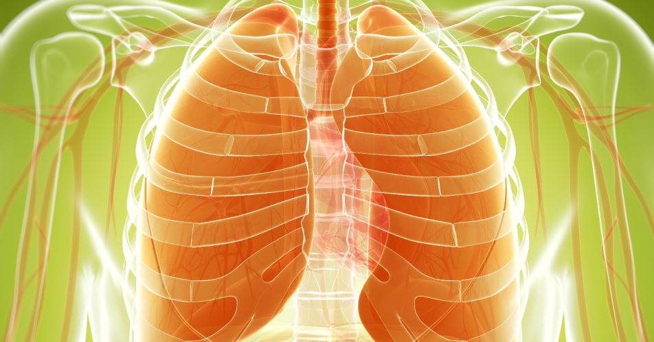Instabile COPD: Früherkennung und personalisierte Behandlung entscheidend