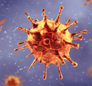 MERS-Coronavirus: Impfstoffstudie beim Menschen vielversprechend ­– auch für die Impfstoffentwicklung gegen SARS-CoV-2