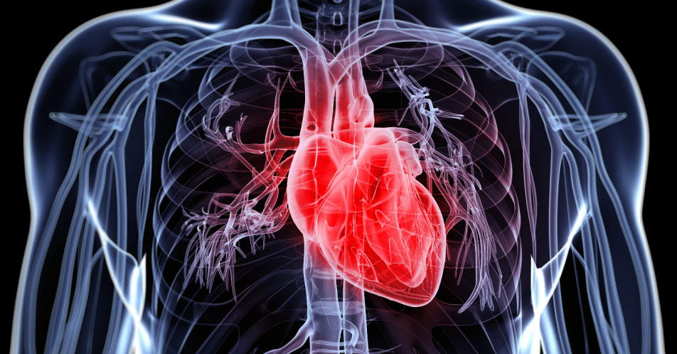 Kardiovaskuläre Ereignisse: Cholesterinsenkende Wirkstoffe reduzieren Risiko
