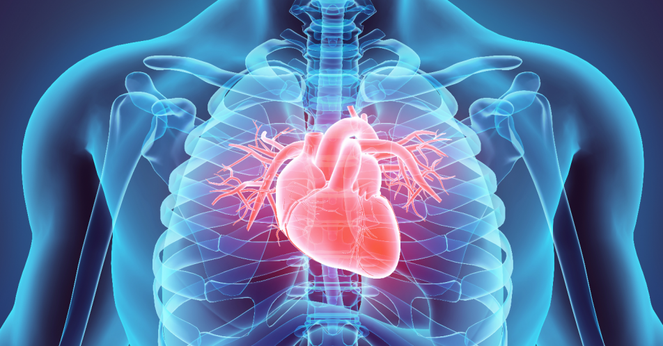 Herzinsuffizienz: Reduktion kardiovaskulärer Todesfälle in Phase-III-Studie
