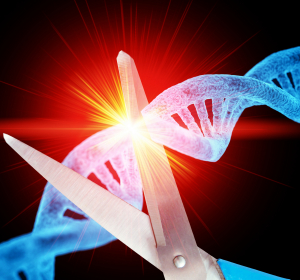 CRISPR/Cas9 – Genom Editing in der Onkologie und Hämatologie