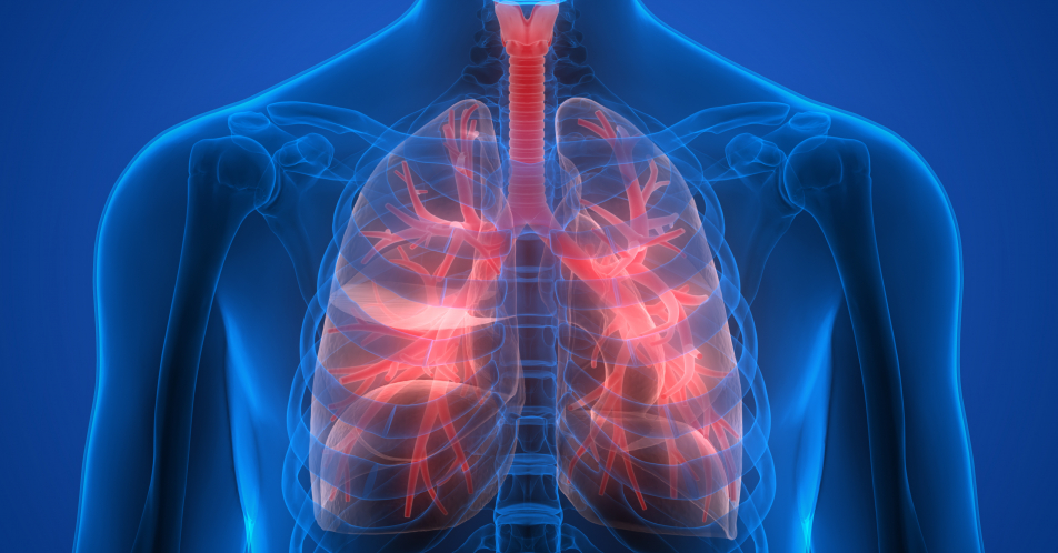 COPD-Therapie im Wandel: Rechtzeitiger Triple-Einsatz minimiert Exazerbationen und verlängert Leben