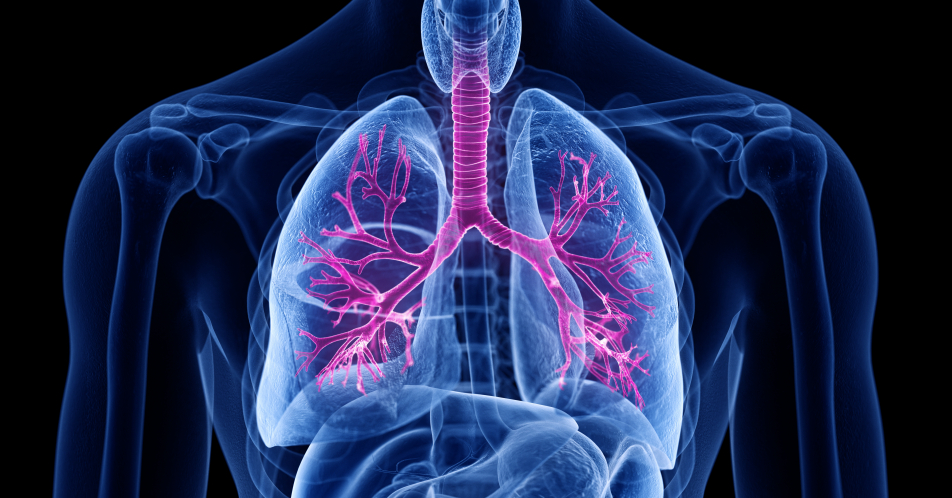 Aussichtsreicher Therapieansatz gegen COPD