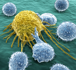 COVID-19: Studie zur Rolle zytotoxischer T-Zellen