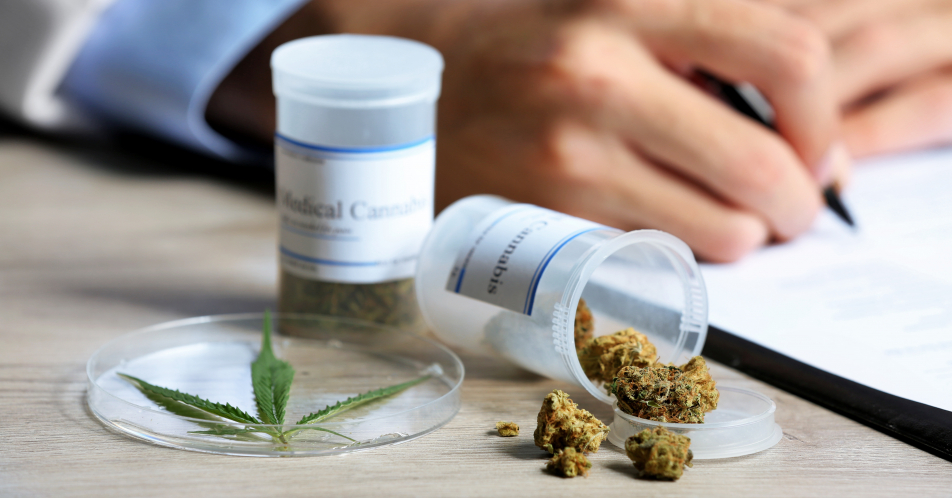 Medizinisches Cannabis: Sichere Verordnung und einfache Zubereitung von Rezepturarzneimitteln