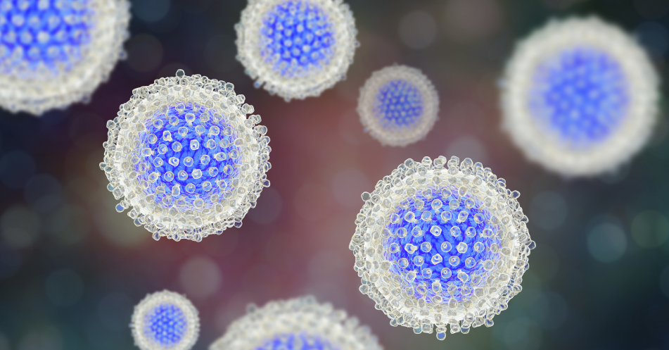 SARS-CoV-2-Pandemie beeinflusst HCV-Eliminationsbestreben: Aufklärungs- und Handlungsbedarf bei Hepatitis C