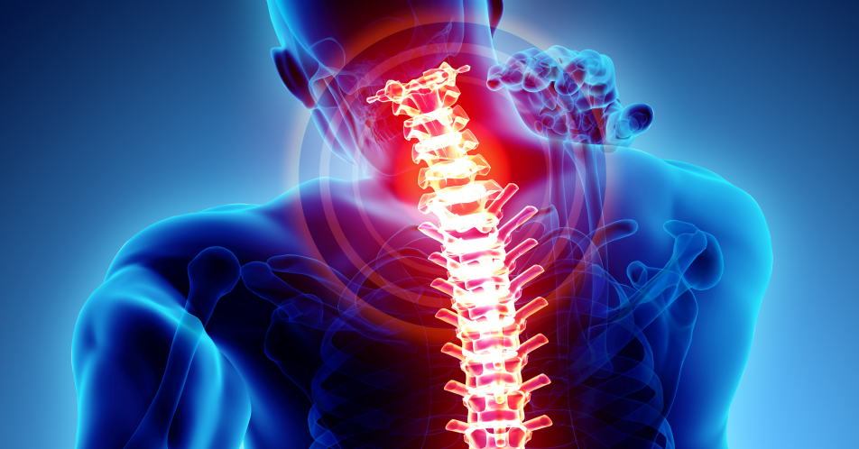 Chronische Rückenschmerzen: Opioid mit dualem Wirkmechanismus