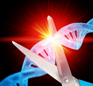 Diagnostiktechnologie LEOPARD: Neue CRISPR-Erkenntnisse