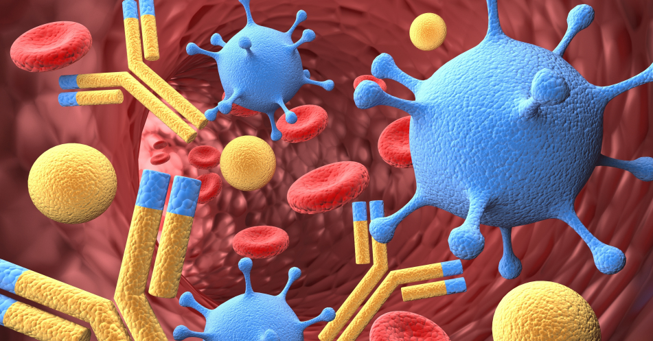 NeutrobodyPlex: Nachweis über Immunantwort nach SARS-CoV-2-Infektion