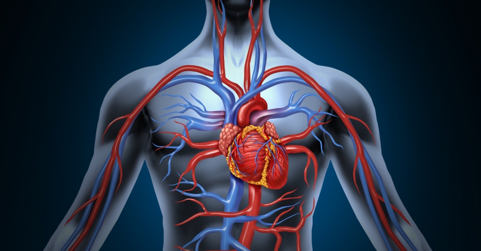 Kardiovaskuläre Hochrisikopatienten: Leitliniengemäß LDL-C senken