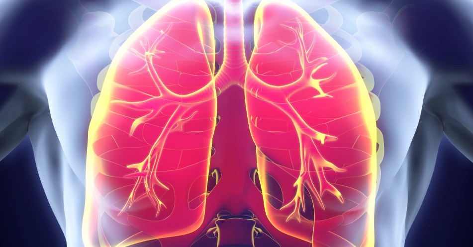 Interdisziplinarität bei Lungenfibrosen – gemeinsam mehr erreichen (1/3)