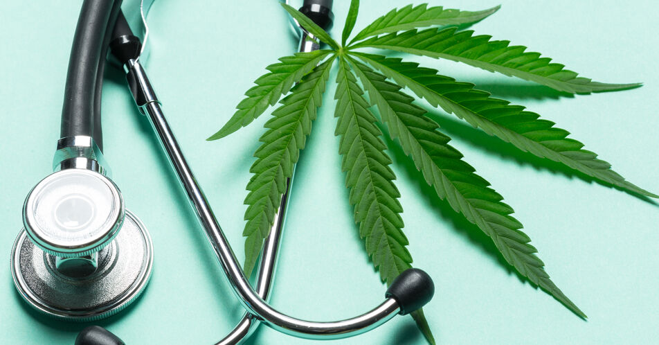Medizinisches Cannabis – patientenindividuelle Therapieoption