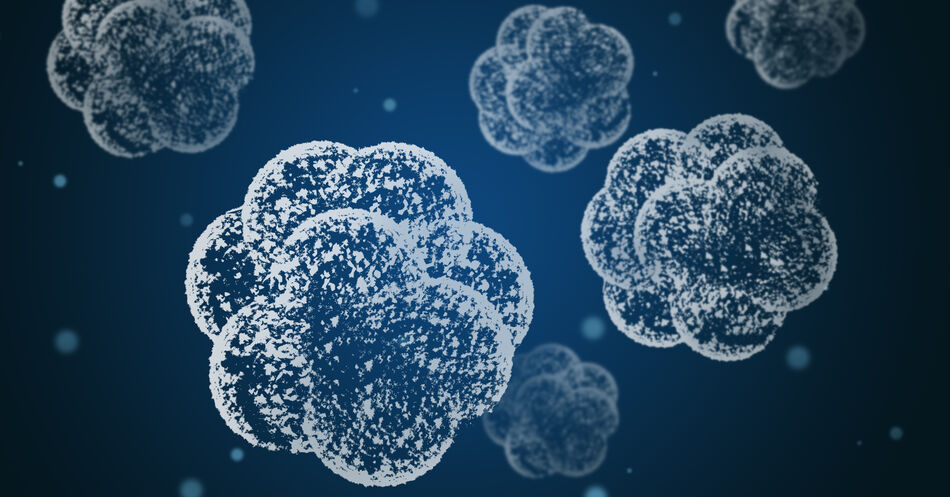Blutstammzellen machen Glioblastome aggressiver