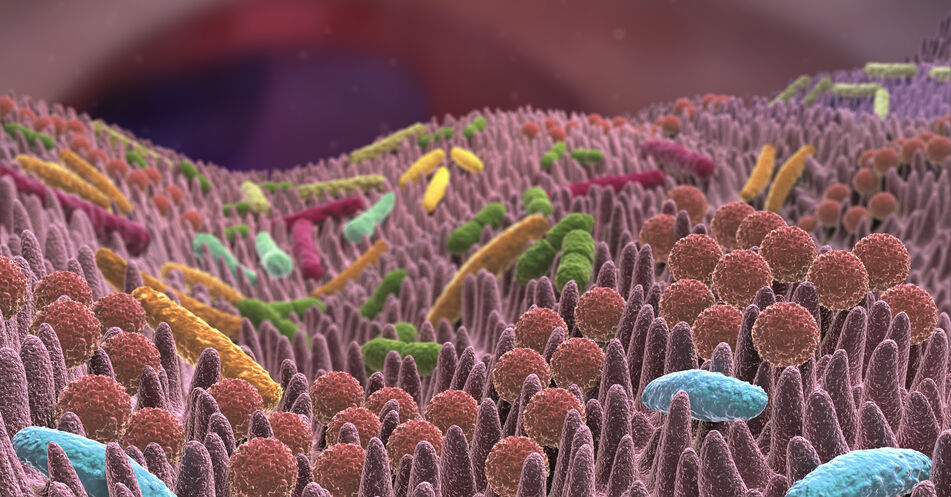 Welche Rolle spielt das Mikrobiom bei Sepsis?