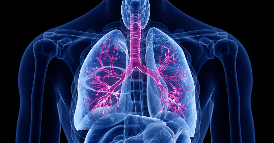 COPD: Bronchodilatation weiterhin Basis der medikamentösen Therapie