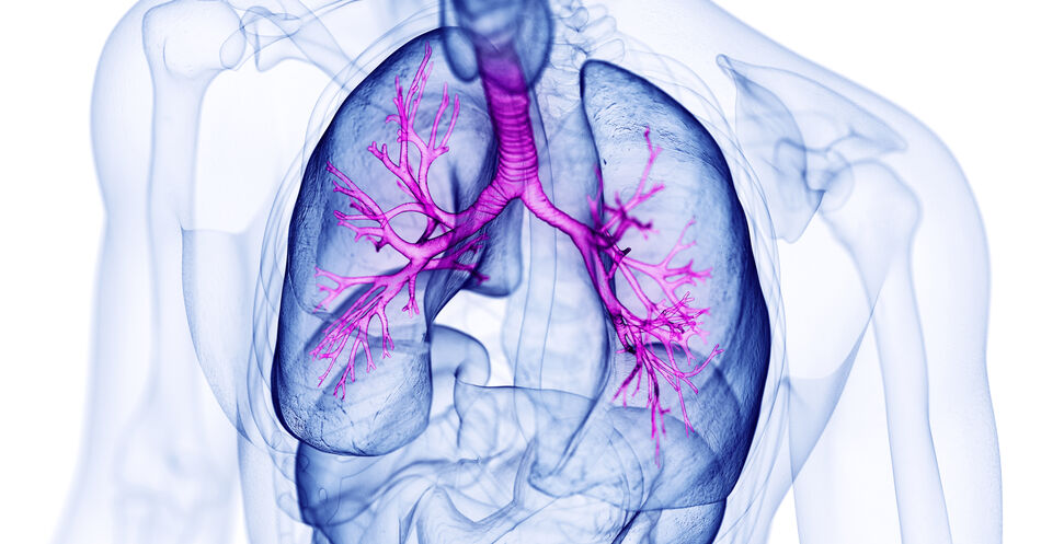 COPD: Sind Kategorien wie Pink Puffer und Blue Bloater noch aktuell?